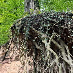 22-04-25 11-21-57 0618